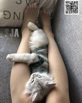 中国有嘻哈第一季