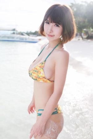 风流艳史dvd金瓶艳史