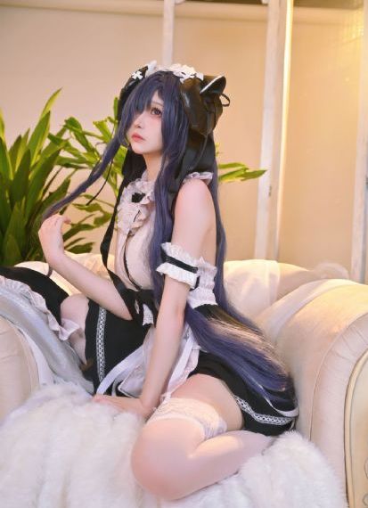 男女插孔