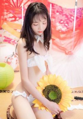 台北女子图鉴